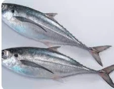 Cá sòng làm sạch 8-10 con/kg