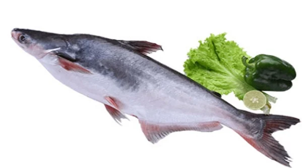 Cá Basa làm sạch 2-3con/kg