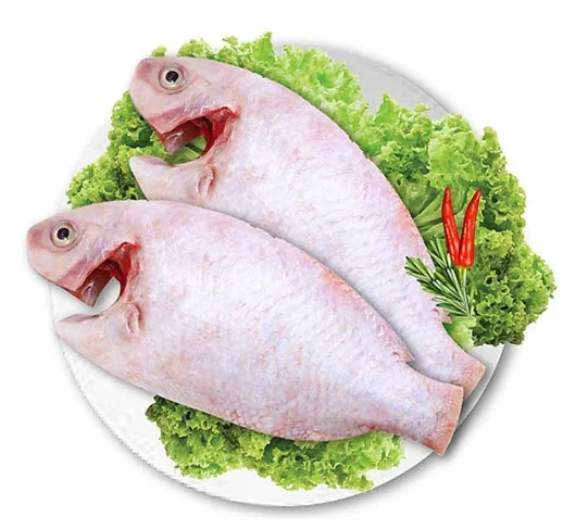 Cá diêu hồng sống làm sạch 350-500gr/con